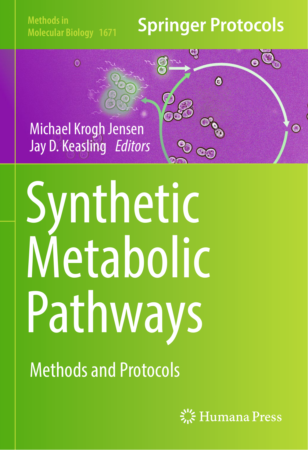 Synthetic Metabolic Pathways.png