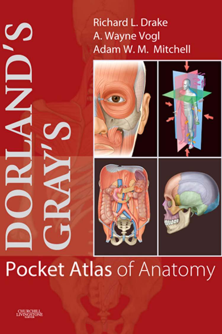 Dorland's Gray's Pocket Atlas of Anatomy (Dorland's Medical Dictionary) - Abdul Gaffar.jpg