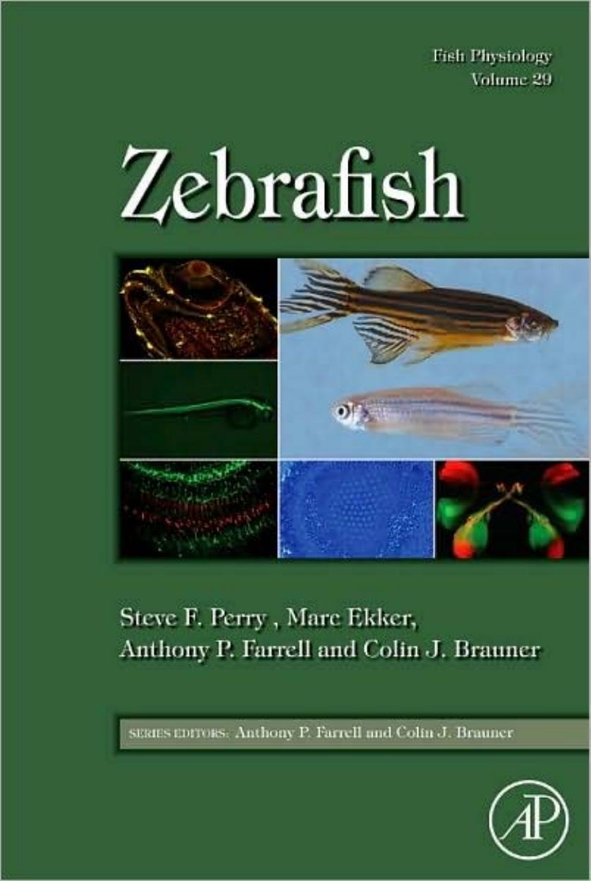 Fish Physiology Zebrafish (Volume 29) - Steve F. Perry, Marc Ekker, Anthony P. Farrell, Colin J. Brauner.jpg