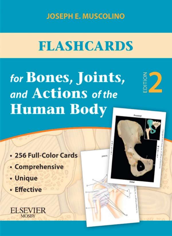 Flashcards for Bones, Joints, and Actions of the Human Body 2nd Edition.jpg