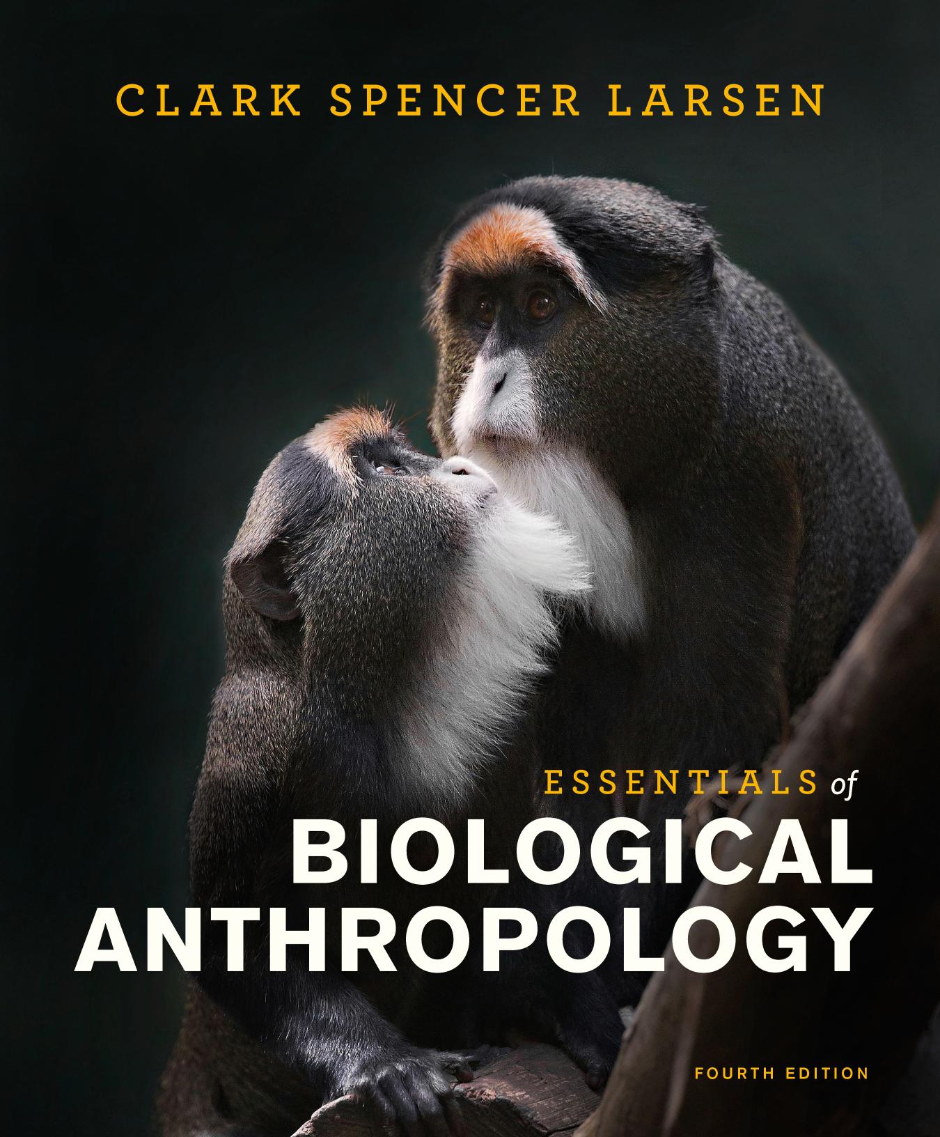 essentials of biological anthropology 4th edition.jpg