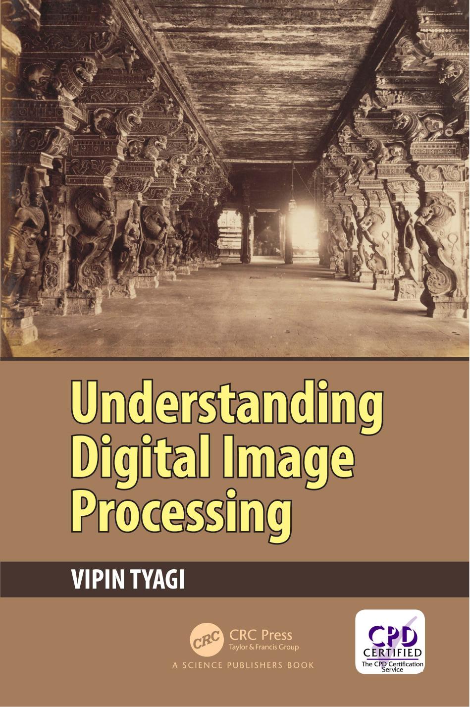 Understanding Digital Image Processing.jpg