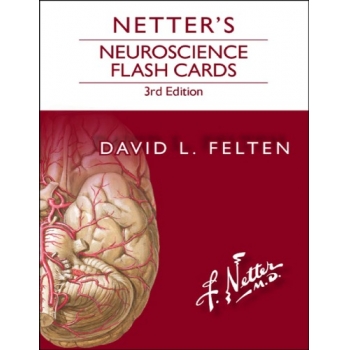 Netter’s Neuroscience Flash Cards 3rd