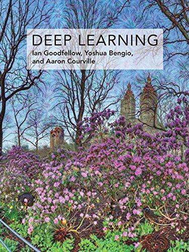 Deep Learning (2016)