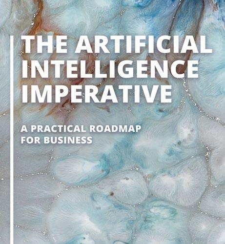 The Artificial Intelligence Imperative A Practical Roadmap for Business