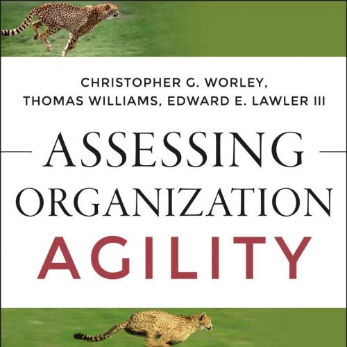 Assessing Organization Agility_ Creating Diagnostic Profiles to Guide Transformation
