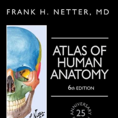 Atlas of Human Anatomy-including Student Consult Interactive Ancillaries and Guides, 6th Edition-Frank Netter