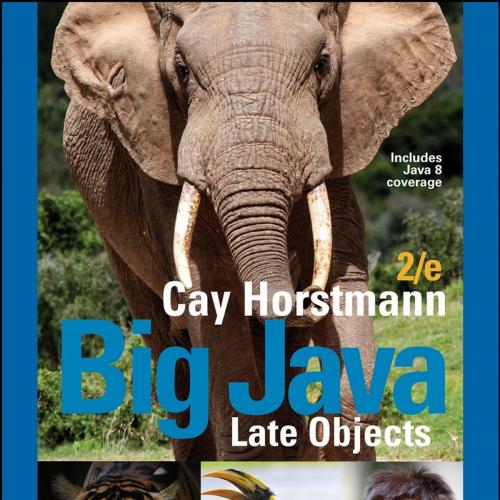 Big Java Late Objects, 2nd Edition by Cay S. Horstmann
