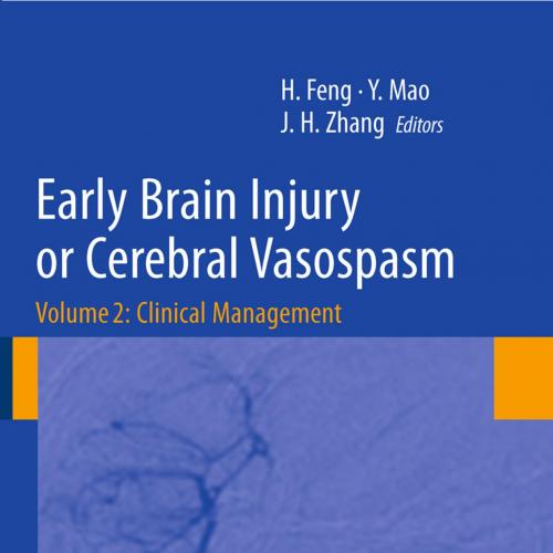 Early Brain Injury or Cerebral Vasospasm-Vol 2- Clinical Management - Hua Feng, Ying Mao, John H. Zhang