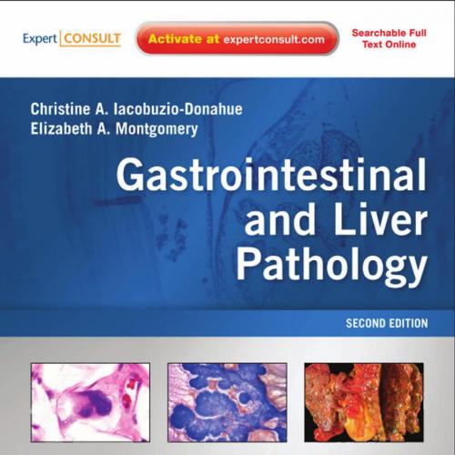 Gastrointestinal and Liver Pathology Foundations In Diagnostic Pathology 2nd Edition