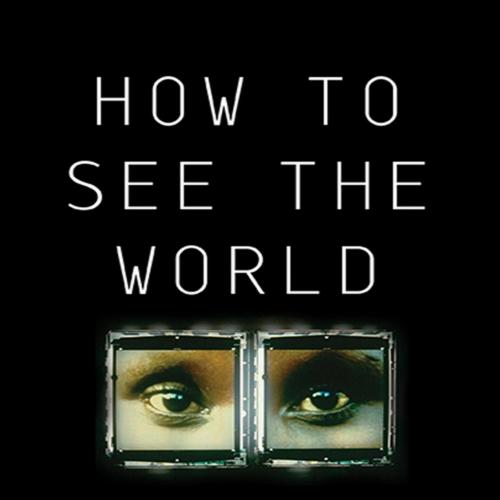 How to See the World - Nicholas Mirzoeff - Nicholas Mirzoeff