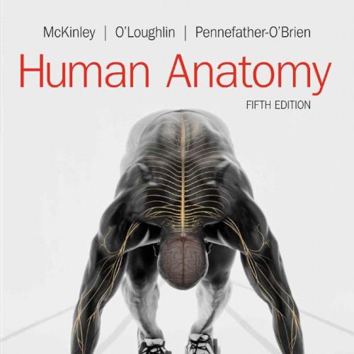 Human Anatomy 5th Edition by- McKinley, Michael; O'Loughlin,