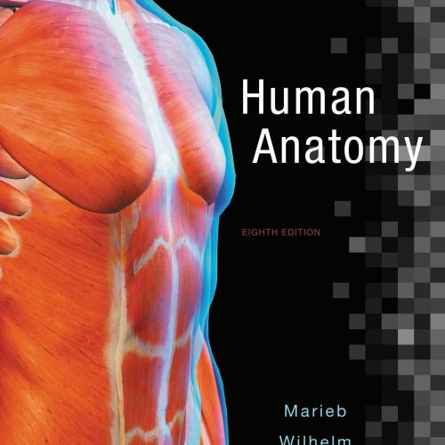 Human Anatomy 8th Edition by Elaine N. Marieb