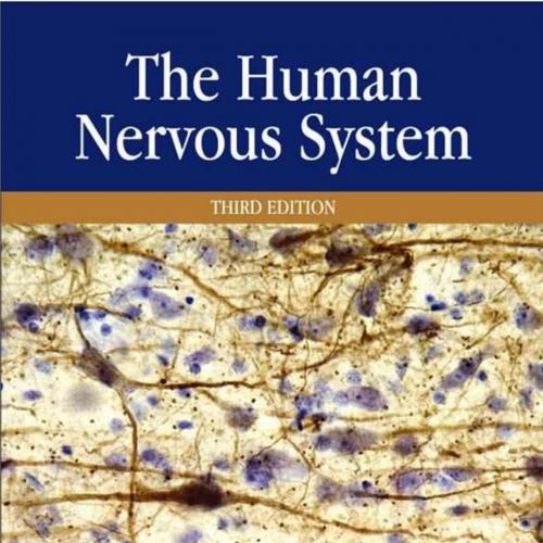 Human Nervous System, 3rd Edition, The - 4_8=8AB@0B_@