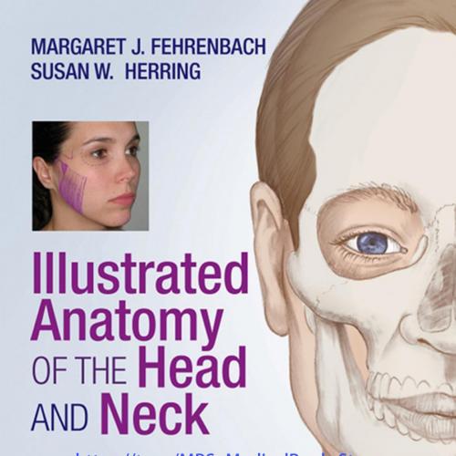 Illustrated Anatomy of the Head and Neck 5th - Margaret J. Fehrenbach Susan W. Herring