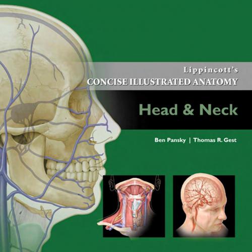 Lippincott's Concise Illustrated Anatomy Head & Neck