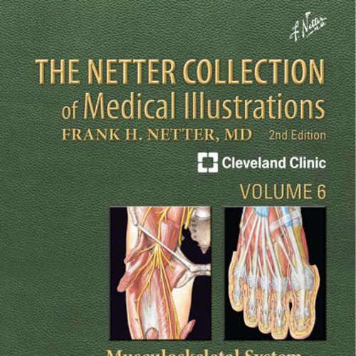 Netter Collection of Medical Illustrations Musculoskeletal System, Volume 6, Part II Spine and Lower Limb, 2nd Edition, The - Wei Zhi