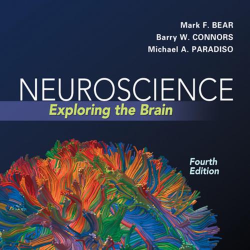 Neuroscience Exploring the Brain 4th Edition by Bear, Mark F - Mark F. Bear, Ph.D., Barry W. Connors, Ph.D., Michael A. Paradiso, Ph.D_