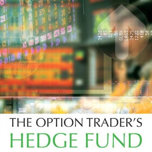 Option Trader's Hedge Fund A Business Framework for Trading Equity and Index Options, The - Dennis A. Chen; Mark Sebastian
