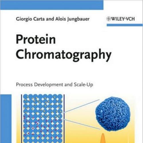 Protein Chromatography Process Development and Scale-Up