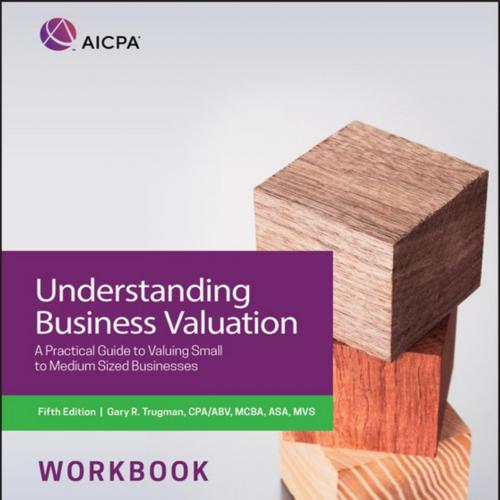 Understanding Business Valuation Workbook - Trugman