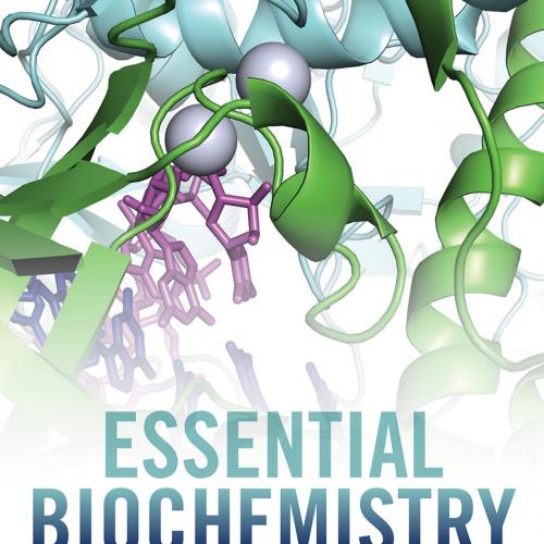Essential Biochemistry 4th Edition 1119012376