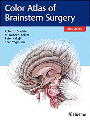 Color Atlas of Brainstem Surgery (包含视频)