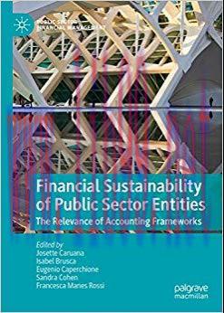 (PDF)Financial Sustainability of Public Sector Entities: The Relevance of Accounting Frameworks (Public Sector Financial Management) 1st ed. 2019 Edition