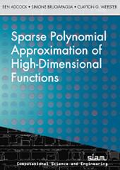 Sparse Polynomial Approximation of High-Dimensional Functions