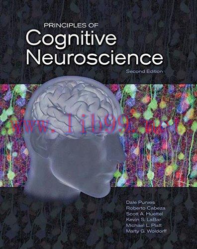 [AME]Principles of Cognitive Neuroscience, 2nd Edition (PDF)