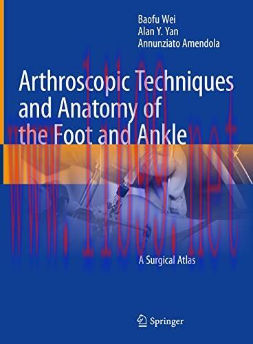 [AME]Arthroscopic Techniques and Anatomy of the Foot and Ankle: A Surgical Atlas (Original PDF)
