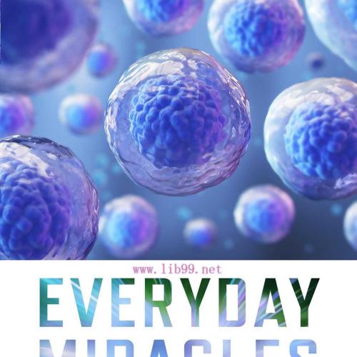 [AME]Everyday Miracles (EPUB) 