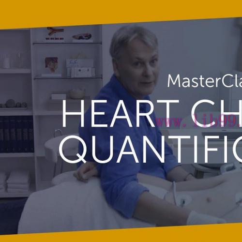 [AME]123sonography MasterClass HEART CHAMBER QUANTIFICATION (Videos) 