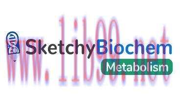 [AME]Sketchy biochemistry 2021 (Videos) 