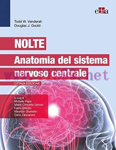 [AME]Nolte - Anatomia del sistema nervoso centrale (EPUB) 