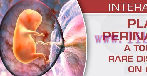 [AME]USCAP Placental and Perinatal Pathology A Tour of Common and Rare Disorders with a Focus on Clinical Relevance 2023 (Videos) 
