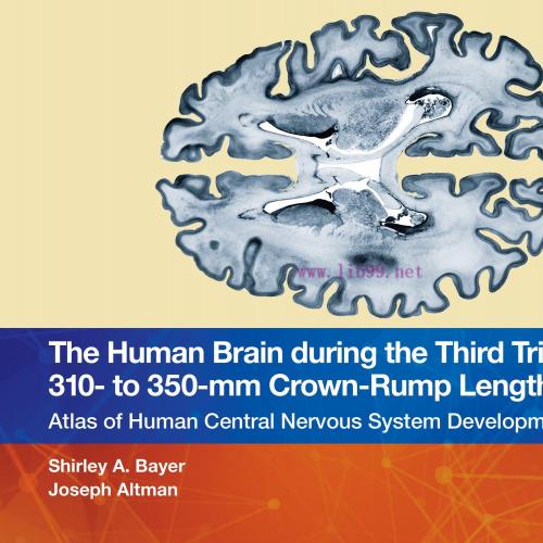 [AME]The Human Brain during the Third Trimester 310– to 350–mm Crown-Rump Lengths: Atlas of Central Nervous System Development, Volume 13 (EPUB) 