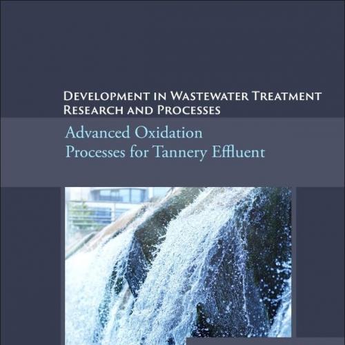 Development in Wastewater Treatment Research and Processes Advanced Oxidation Processes for Tannery Effluent 1st Edition