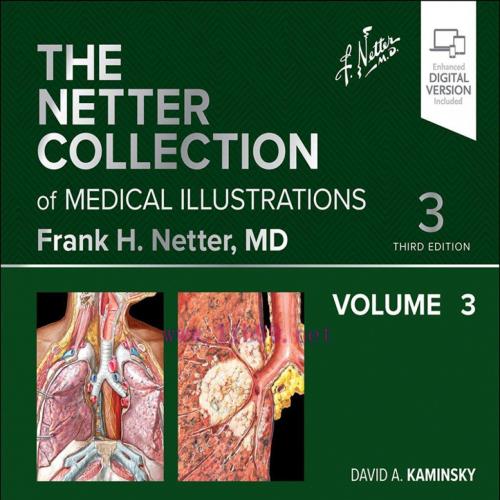 [AME]The Netter Collection of Medical Illustrations: Respiratory System, Volume 3, 3rd edition (ePub+Converted PDF) 