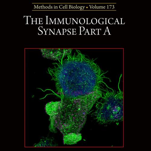 [AME]The Immunological Synapse Part A, Volume 173 (Original PDF) 