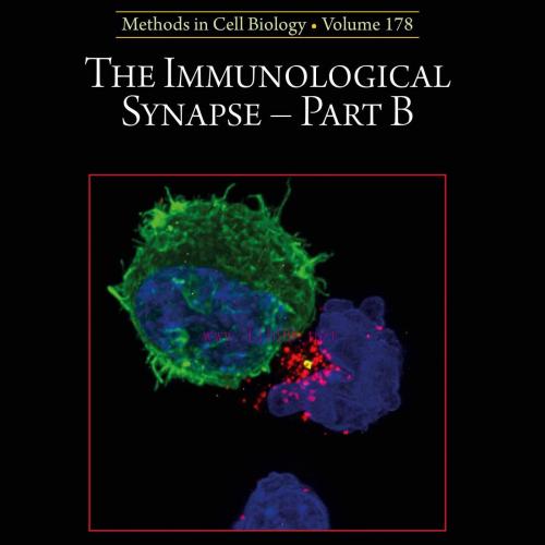 [AME]The Immunological Synapse - Part B, Volume 178 (EPUB) 