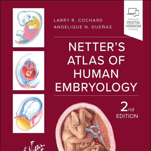 Netter’s Atlas Of Human Embryology, 2nd Edition (EPub+Converted PDF)