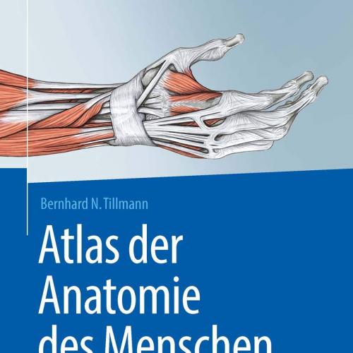 Atlas der Anatomie des Menschen mit Muskeltabellen (Springer-Lehrbuch) (German Edition)