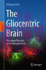 [PDF]The Gliocentric Brain: Phenotype Plasticity of the Damaged Brain