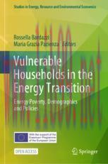 [PDF]Vulnerable Households in the Energy Transition: Energy Poverty, Demographics and Policies