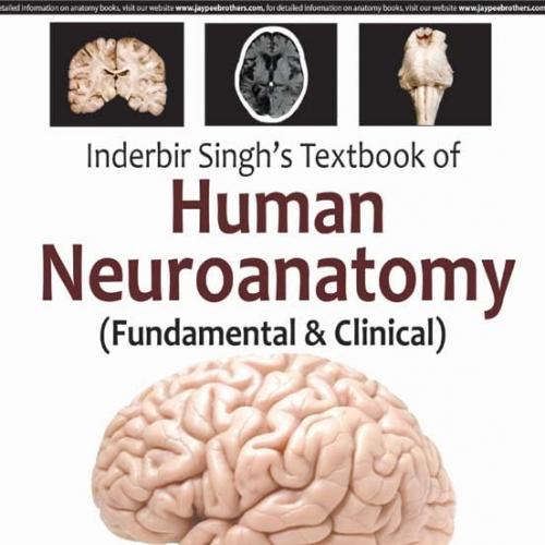 Inderbir Singh’s Textbook of Human Neuroanatomy (Fundamental & Clinical) 10th Edition
