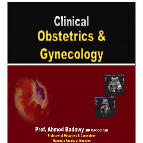 clinical obstetrics and gynecology-part1 - XPPRESP3@ESLAM4