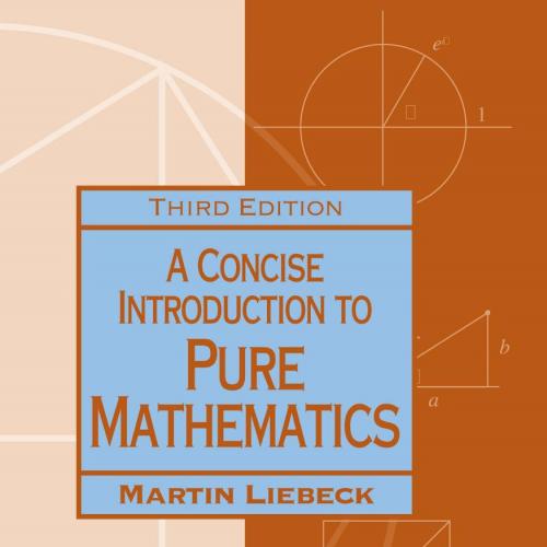 Concise Introduction to Pure Mathematics, 3rd Third Edition, A - Wei Zhi