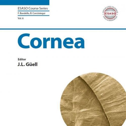 Cornea (ESASO Course Series) Vol 6