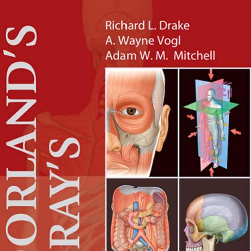 Dorland's Gray's Pocket Atlas of Anatomy (Dorland's Medical Dictionary) - Abdul Gaffar